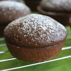Chocolate Muffins