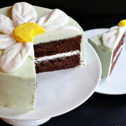 Thin Mint Cake