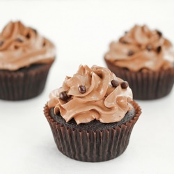 Chocolate Cupcakes