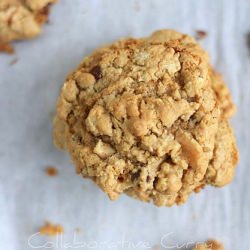Whole Wheat Flax Meal Oats Cookies