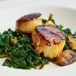 Seared Scallops w/ Cider Glaze