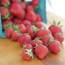 Fresh Strawberries from a CSA