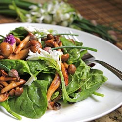 Warm Mushroom Spinach Salad