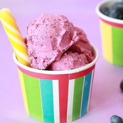 Blueberry Lemon Sour Cream Ice Cream