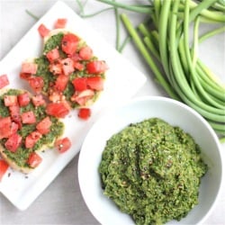 Swiss Chard Garlic Scape Pesto