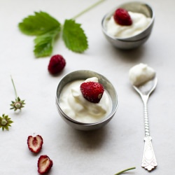 Wild Strawberries Dessert