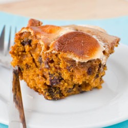 Sweet Potato Blondies