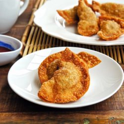 Deep-Fried Savory Dumplings
