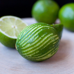Soy Lime Marinade