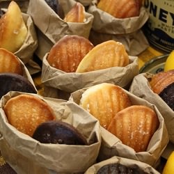 Lemon and Chocolate Madeleines