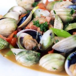 Clams in Tomatoes and White Wine