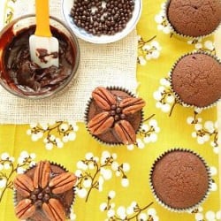 Mud Turtle Cupcakes