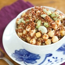 Fava Bean and Quinoa Salad
