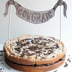 Chocolate Chip Cake