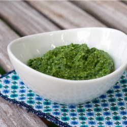 Arugula Pesto