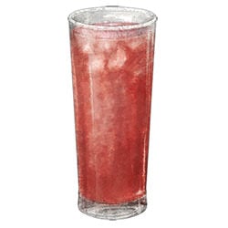 Sloe Gin and Tonic