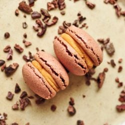 Cocoa Nib Macarons