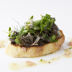 Lemon Butter Snails Crouton