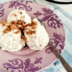 Brown Bread Ice Cream