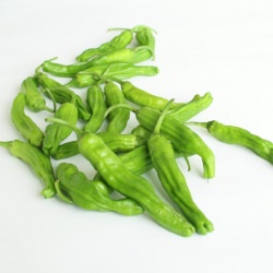 Stir-Fried Shishito Peppers