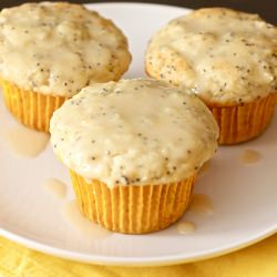 Whole Lemon Muffins