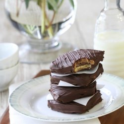 Chocolate Peanut Butter Sandwich