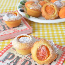 Apricot Muffins