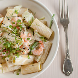 Pasta with Shrimps