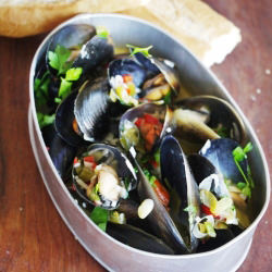 Mussels with White Wine
