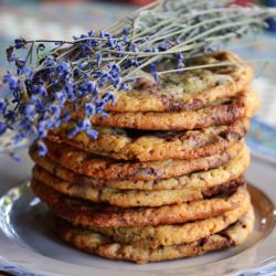 The Best Chocolate Chip Cookies