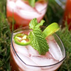Watermelon Jalapeño Cocktail