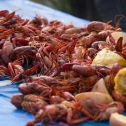 My First Crawfish Boil in Austin