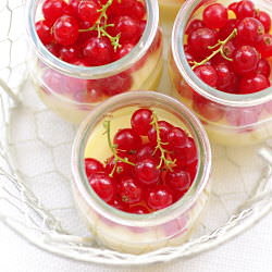White Chocolate Lemon Curd