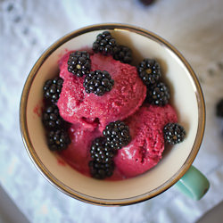 Mixed Berry Sherbet