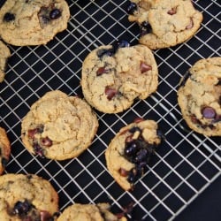 Chocolate Chip Blueberry PB