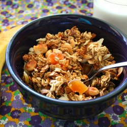 Tropical Granola