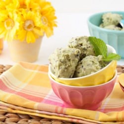 Peppermint Chocolate Chip Ice Cream