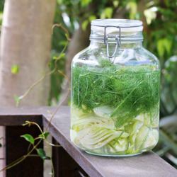 Fennel Infused Vodka