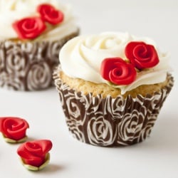 Vanilla Cupcakes