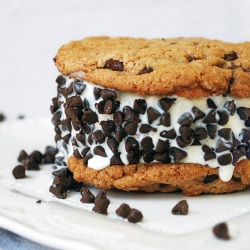 Chocolate Chip Ice Cream Sandwich