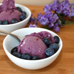 Blueberry Ice Cream