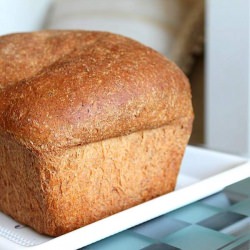 Mung Sprouts Wheat Bread
