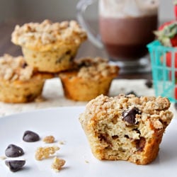 Oatmeal Chocolate Chip Muffins