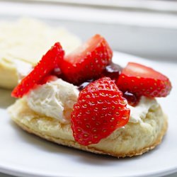 Scones w/ Jam & Clotted Cream