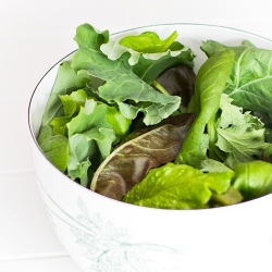 Meatless Monday