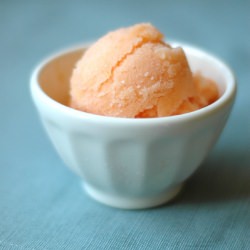 Canteloup Sorbet