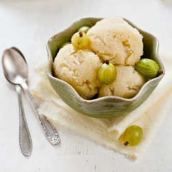 Gooseberry Sorbet