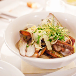 Razor Clams