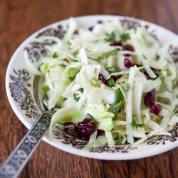 Kohlrabi Slaw