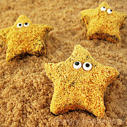 Starfish S’mores